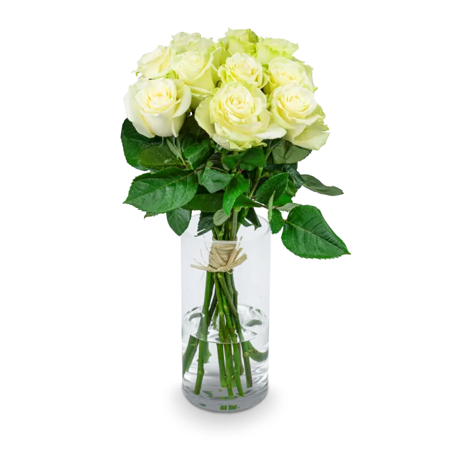 Bouquet of white roses